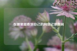 在哪里能查到自己的网贷记录查询