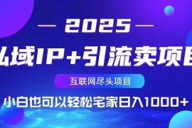 2025最新（14151期）私域IP+引流卖项目，小白也可以做到轻松宅家日入1000+03-25中创网