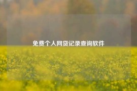 免费个人网贷记录查询软件