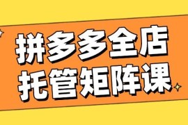2025最新（14328期）拼多多全店托管矩阵课，盈利动销玩法，高效计划设置，提升店铺效益02-26中创网