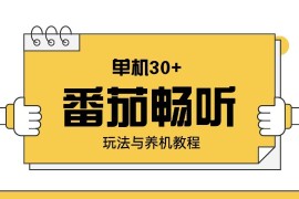 赚钱项目（13966期）番茄畅听玩法与养机教程：单日日入30+。01-17中创网