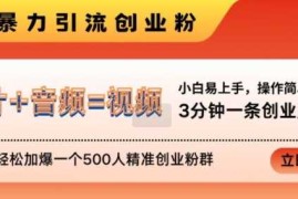 每日抖音最新暴力引流创业粉，3分钟一条创业类视频，24h轻松加爆一个500人精准创业粉群【揭秘】11-06冒泡网