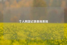 个人网贷记录查询系统