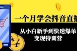 一个月学会抖音直播带货：从小白新手到快速爆单变现特训营