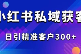 最新项目（14304期）2025最新小红书平台引流获客截流自热玩法讲解，日引精准客户300+02-24中创网