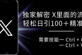 实战独家解密X里面的流量密码，复制粘贴轻松日引100+11-12冒泡网