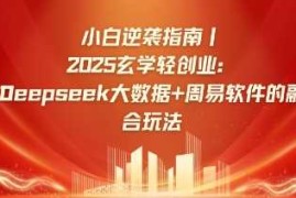 最新项目小白逆袭指南，2025玄学轻创业：Deepseek大数据+周易算法的融合玩法03-19冒泡网