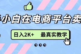创业项目（11610期）新手小白在电商平台卖键盘，日入2K+最真实教学便宜07月14日中创网VIP项目