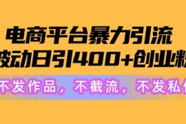2024电商平台暴力引流：被动日引创业粉不发作品，不截流，不发私信