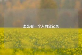 怎么看一个人网贷记录