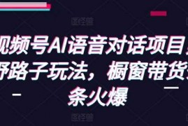 最新项目视频号AI语音对话项目，野路子玩法，橱窗带货条条火爆12-21冒泡网
