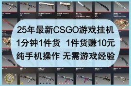（14439期）25年最新CSGO游戏挂机，1分钟1件货，1件货赚10元 纯手机操作 无需游戏经验