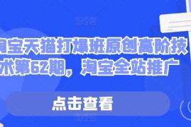淘宝天猫打爆班原创高阶技术第62期，淘宝全站推广