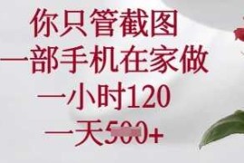 手机创业你只管截图，一部手机在家做，一小时120.一天5张【揭秘】03-20冒泡网