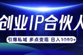 实战云帆·创业ip合伙人打造3.0，从0到1教你做网创，实现月入过W03-24冒泡网