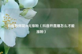 抖音如何花20元涨粉（抖音开直播怎么才能涨粉）