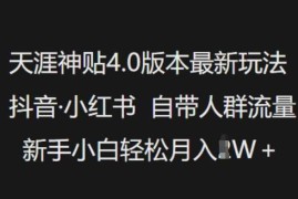 创业项目天涯神贴4.0版本最新玩法，抖音·小红书自带人群流量，新手小白轻松月入过W02-22冒泡网