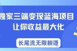 2025最新独家三端变现蓝海项目，让你收益最大化，长尾流无限躺挣03-26冒泡网