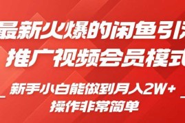 2024最新闲鱼引流推广影视会员，0成本就可以操作，新手小白月入过W+【揭秘】11-23冒泡网