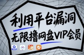 利用平台漏洞，无限撸网盘VIP会员，用户亲测有效!【漏洞原理+操作演示】