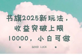 实战（14519期）书旗2025新玩法，收益突破上限10000，小白可做03-13中创网
