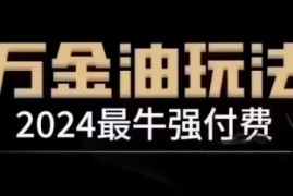 2024最牛强付费，万金油强付费玩法，干货满满，全程实操起飞（更新25年04月）