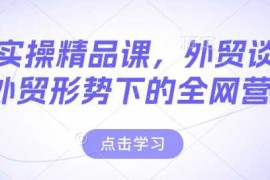 每日外贸实操精品课，外贸谈判，新外贸形势下的全网营销02-09冒泡网