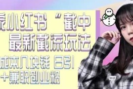 每日最新小红书截流玩法独家截中截单号成本几块钱日引500+CY粉JZ粉12-10冒泡网