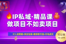 实战（14406期）2025年“IP私域·密训精品课”，日赚3000+小白避坑年赚百万，暴力引流&#8230;03-05中创网