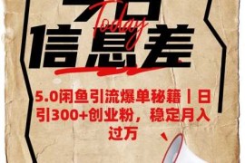 热门项目5.0闲鱼引流爆单秘籍，日引300+创业粉，稳定月入过W03-03冒泡网