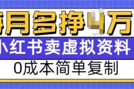 热门项目小红书虚拟资料项目，0成本简单复制，每个月多挣1W【揭秘】12-31冒泡网