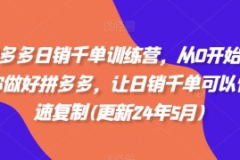 拼多多日销千单训练营，从0开始带你做好拼多多，让日销千单可以快速复制(更新25年4月)