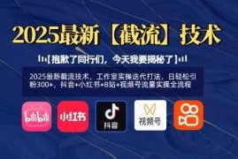 实战2025最新截流技术，工作室实操迭代打法，日轻松引粉300+，抖音+小红书+B站+视频号流量实操全流程03-20冒泡网