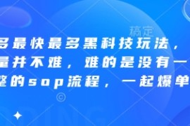 拼多多最快最多黑科技玩法，拼多多起量并不难，难的是没有一套完整的sop流程，一起爆单!