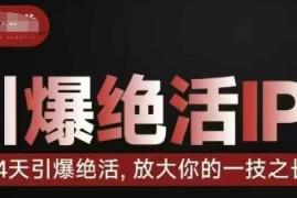 引爆绝活IP训练营，14天引爆绝活，放大你的一技之长