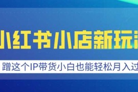 赚钱项目小红书小店新玩法，蹭这个IP带货，小白也能轻松月入过W【揭秘】01-06冒泡网