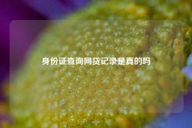 身份证查询网贷记录是真的吗