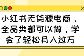 每日（14100期）小红书无货源电商，全品类都可以做，学会了轻松月入过万03-21中创网