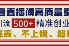 2024最新抖音直播间引流创业粉，无需连麦、不用上镜、超暴力，日引流500+高质量精准创业粉12-21冒泡网