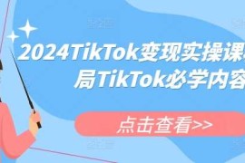 赚钱项目2024TikTok变现实操课程，入局TikTok必学内容12-06冒泡网