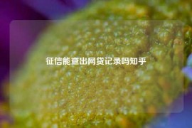 征信能查出网贷记录吗知乎