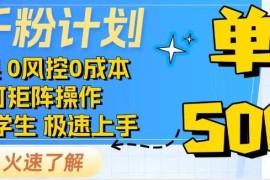 赚钱项目抖音千粉计划，日入500+，包落地，当日拿成果03-09福缘网