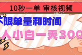 手机创业（14093期）10秒一单，审核视频，不限单量时间，新人小白一天300+02-07中创网