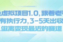 手机项目闲鱼虚拟项目1.0，跟着老手操作，有执行力，3-5天出收益，做离变现最近的赛道02-22冒泡网