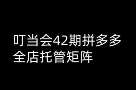 每日叮当会拼多多打爆班原创高阶技术第42期，拼多多全店托管矩阵02-26冒泡网