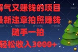 解气又挣钱的项目，最新违章拍照挣钱，随手一拍，轻松收入数张【揭秘】