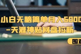 实战新手小白无脑简单月入6000+的-天涯神贴网盘拉新【揭秘】11-18冒泡网