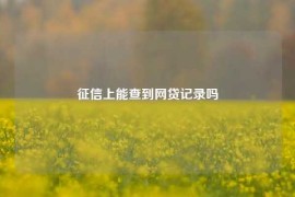 征信上能查到网贷记录吗