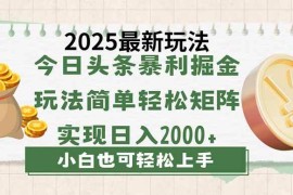 简单项目（14120期）今日头条2025最新玩法，思路简单，复制粘贴，轻松实现矩阵日入2000+03-22中创网