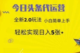 今日头条矩阵系统代运营 批量生成文章  次日见收益 躺赚月入3000+